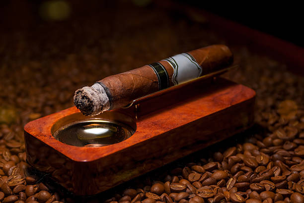 cigar